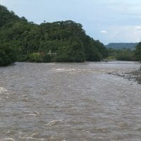 Amazon Tributary Ecuador