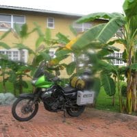 Bike And Banana Trees