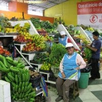 Fruit Stand In Market Ecuador