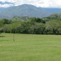 Meadow Colombia