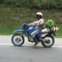 To Market To Market Colombia