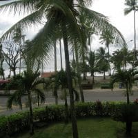 View From Hotel Room